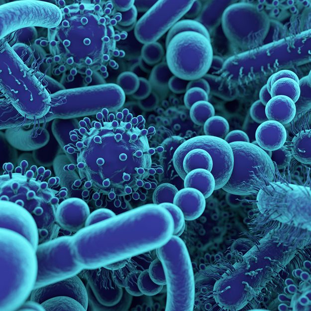 Bacteria & Viruses