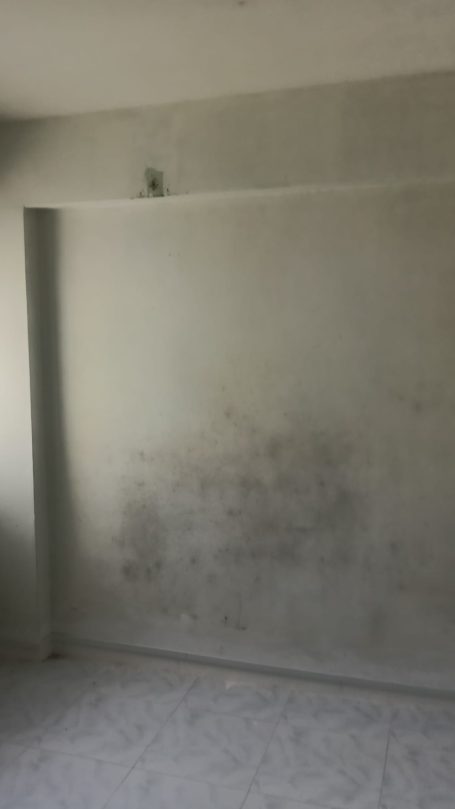 Walls